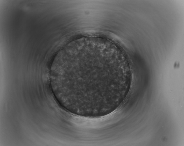 X0000097670048200803211953