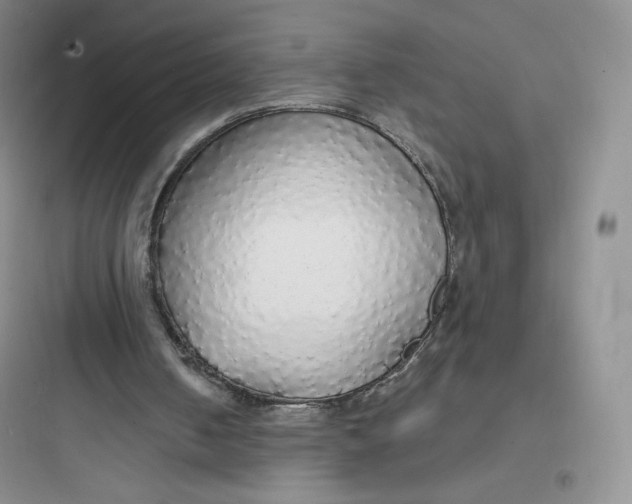 X0000097670050200803211952
