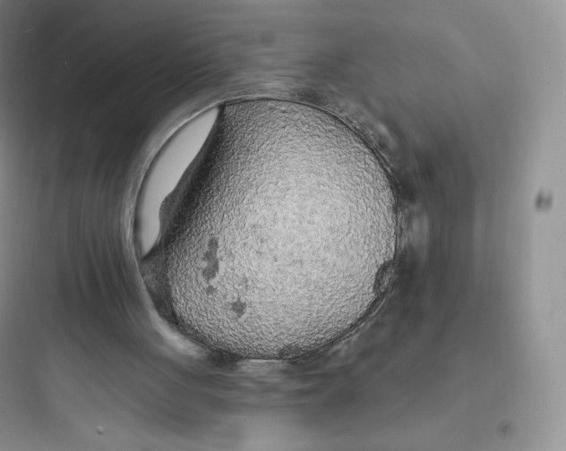 X0000097670051200803211952