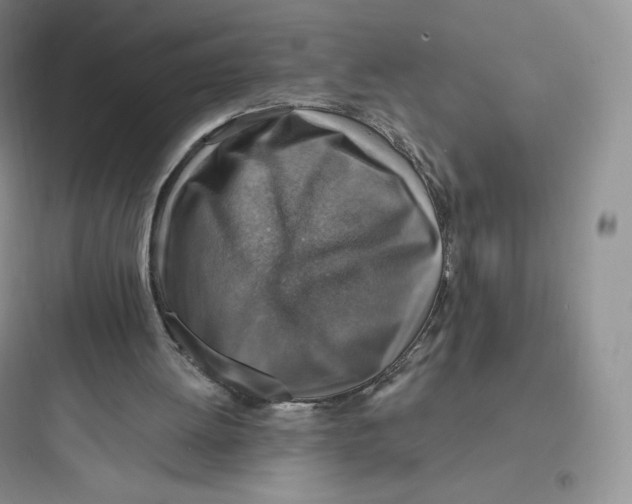 X0000097670052200803211952
