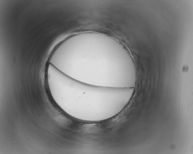 X0000097670054200803211952