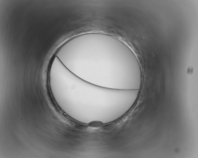X0000097670055200803211952