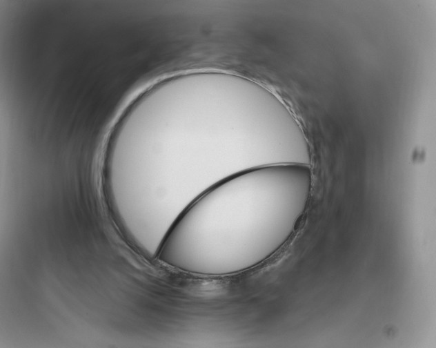 X0000097670056200803211952