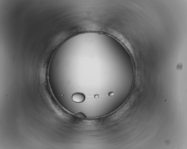 X0000097670057200803211952