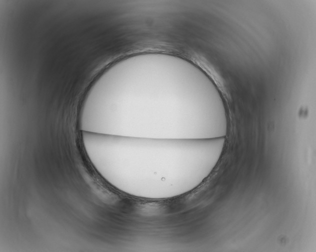 X0000097670058200803211952