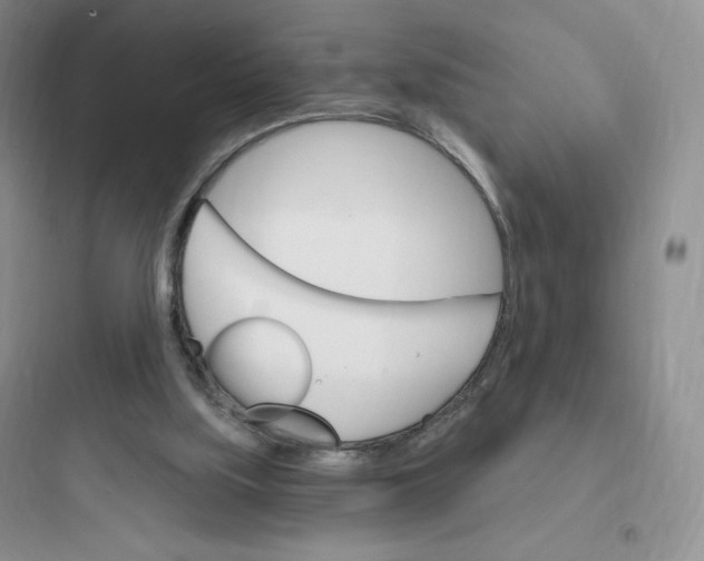 X0000097670059200803211952