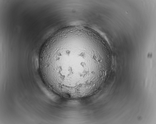 X0000097670061200803211952