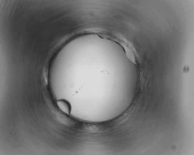 X0000097670062200803211952