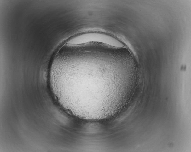 X0000097670063200803211952