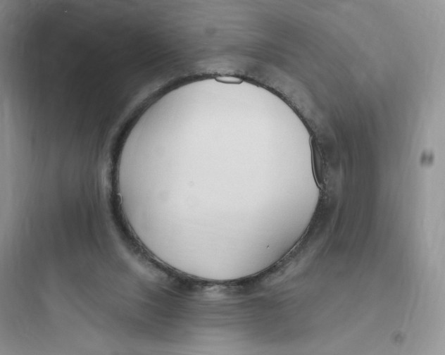 X0000097670064200803211952