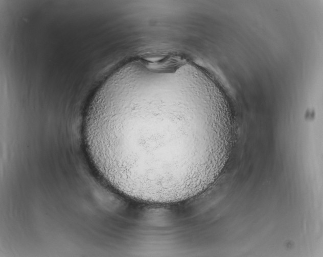 X0000097670066200803211952