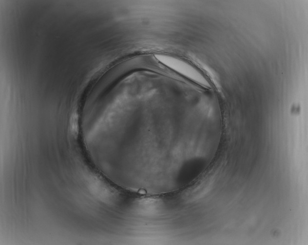 X0000097670067200803211952