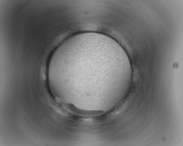 X0000097670068200803211952
