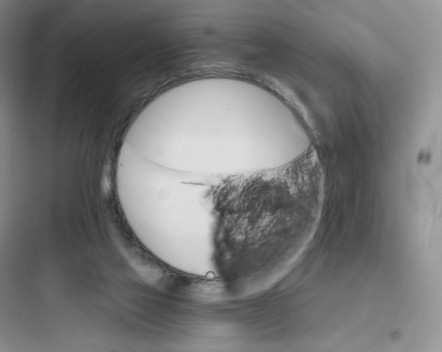 X0000097670069200803211952