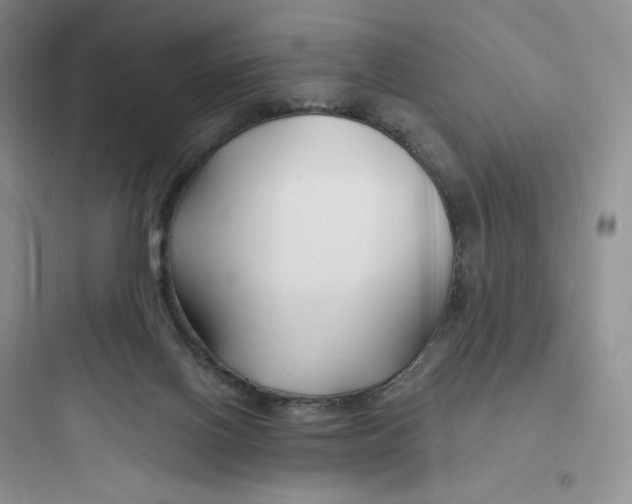 X0000097670070200803211952