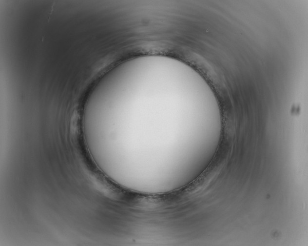 X0000097670071200803211952