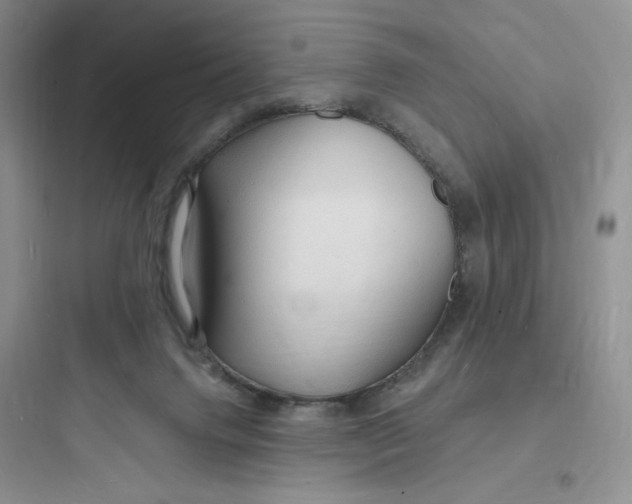 X0000097670072200803211952