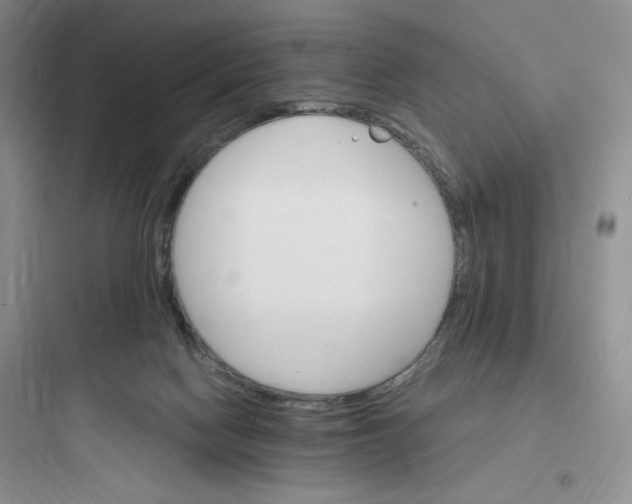X0000097670074200803211952