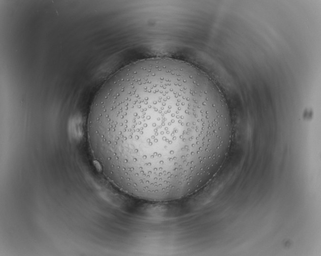 X0000097670075200803211952