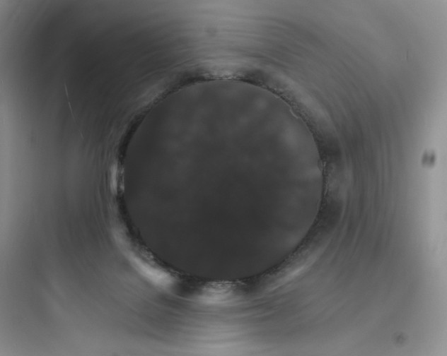 X0000097670076200803211952