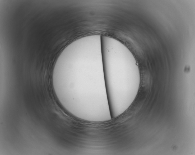 X0000097670077200803211952