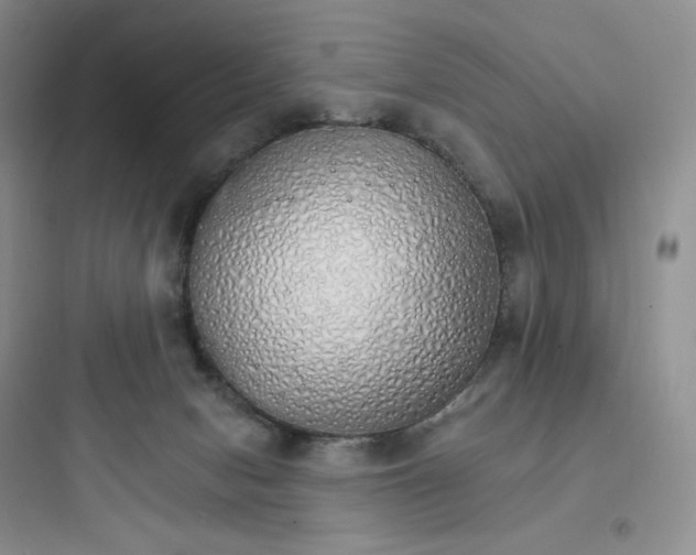 X0000097670078200803211952