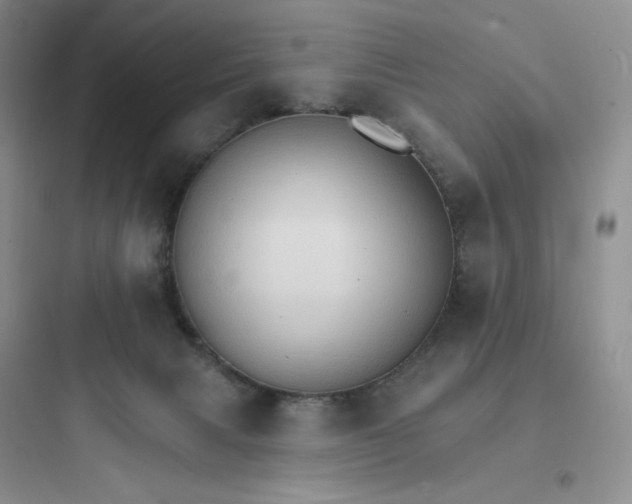 X0000097670079200803211952