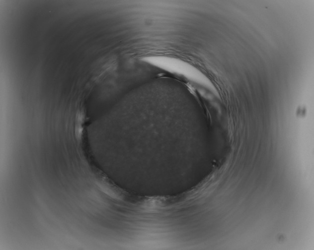 X0000097670080200803211952