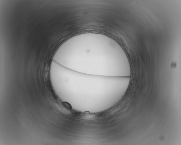 X0000097670081200803211952