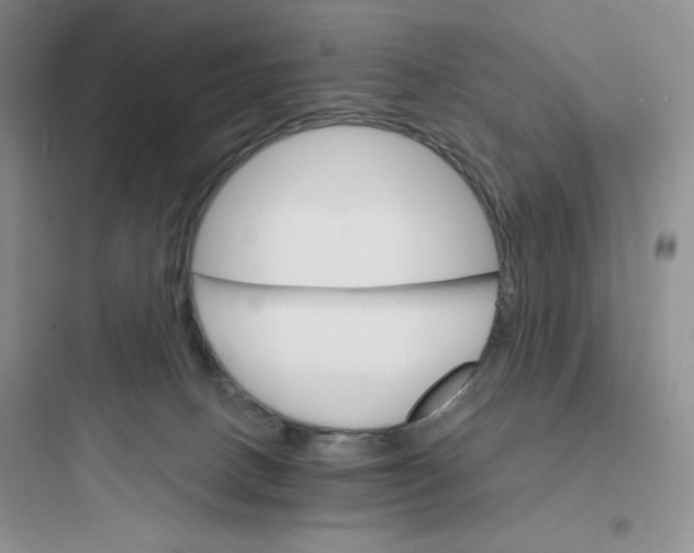 X0000097670082200803211952