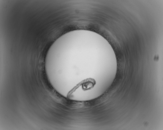 X0000097670083200803211953