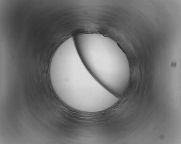 X0000097670084200803211953