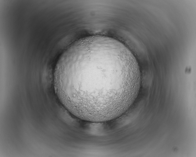 X0000097670085200803211953