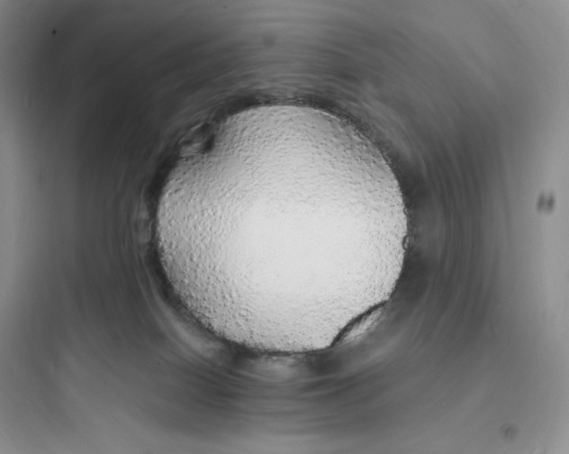 X0000097670086200803211953