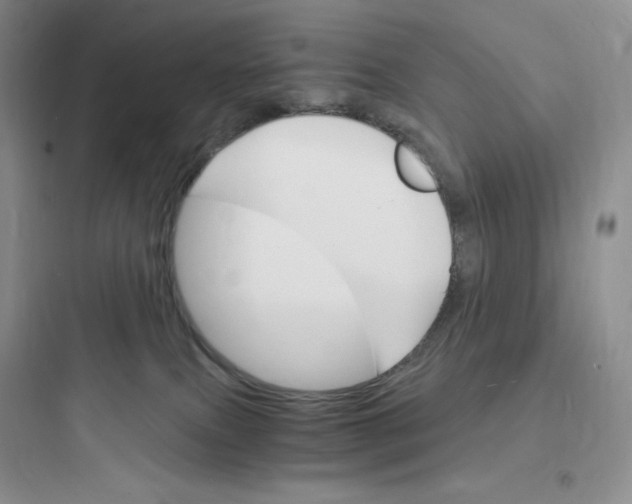 X0000097670087200803211953