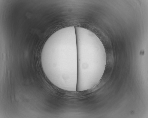 X0000097670090200803211953
