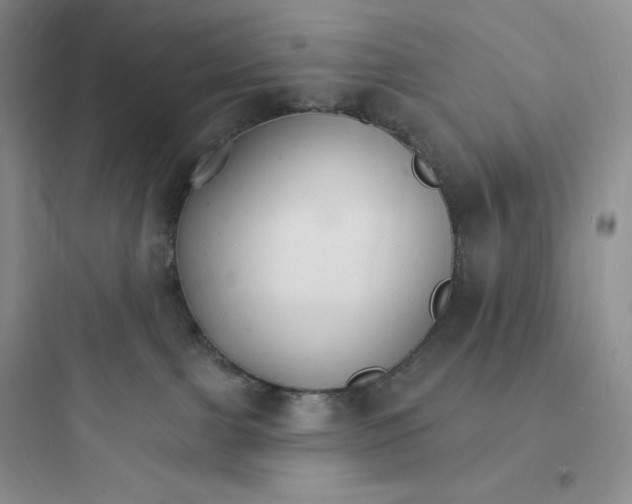 X0000097670091200803211953