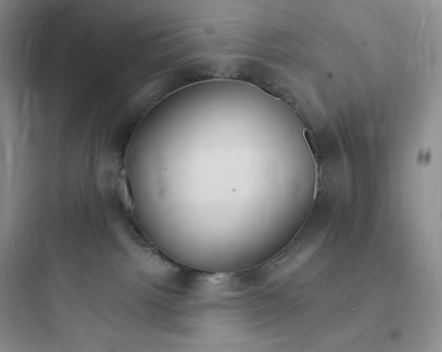 X0000097670092200803211953