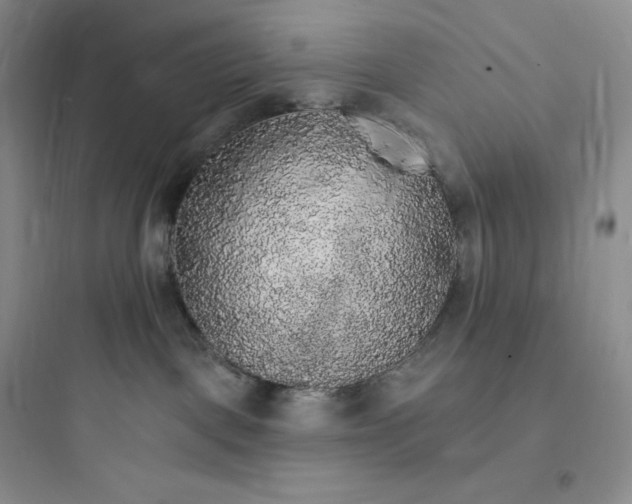 X0000097670093200803211953
