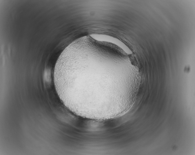 X0000097670094200803211953