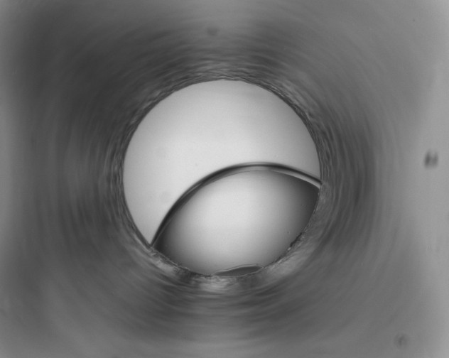 X0000097670096200803211953