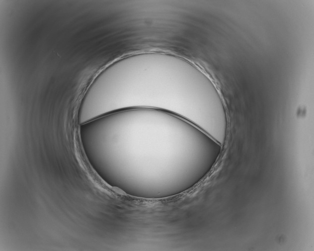 X0000097670097200803211952