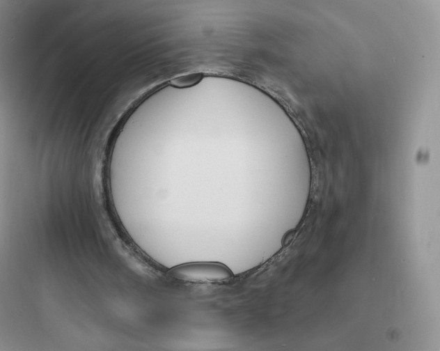 X0000097670098200803211952