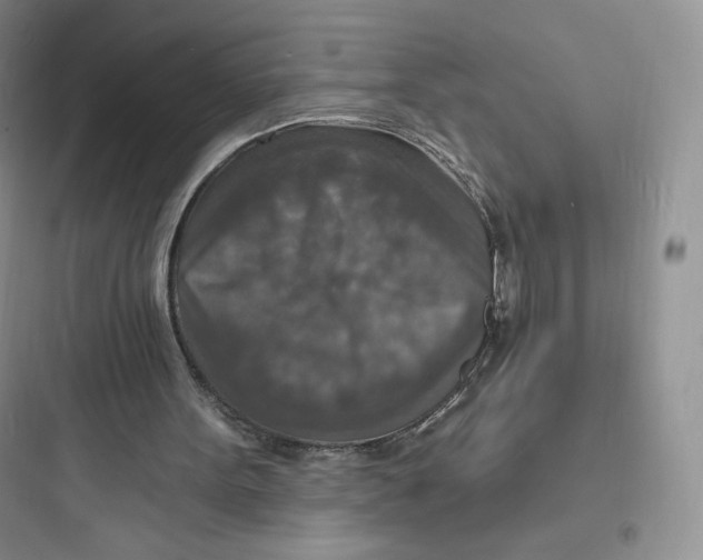 X0000097670099200803211952