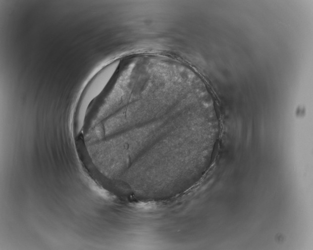 X0000097670100200803211952