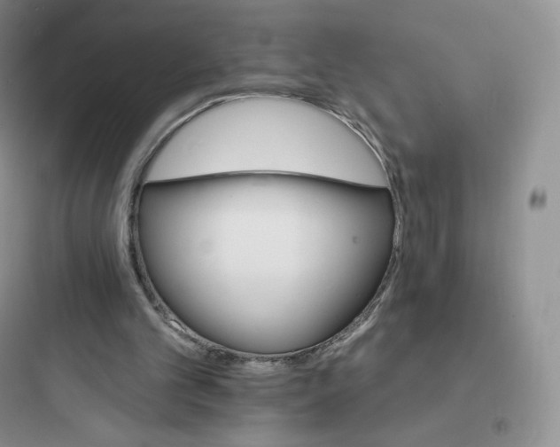 X0000097670101200803211952