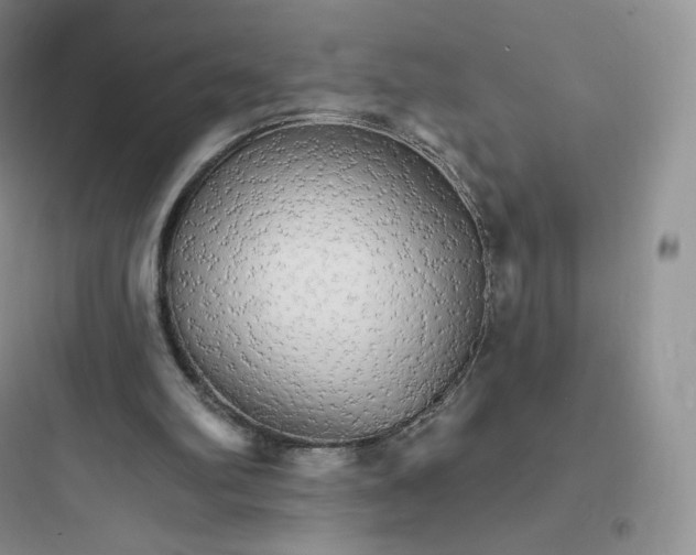 X0000097670102200803211952