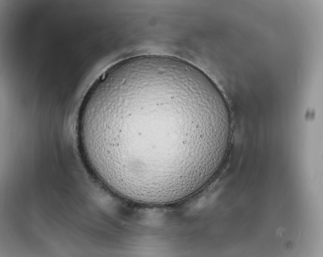 X0000097670103200803211952