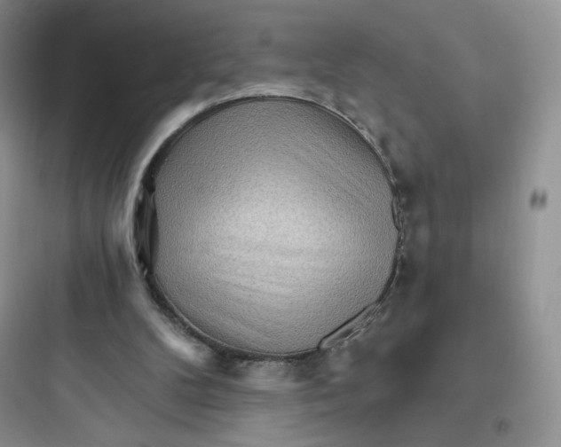 X0000097670104200803211952