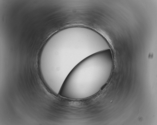 X0000097670105200803211952